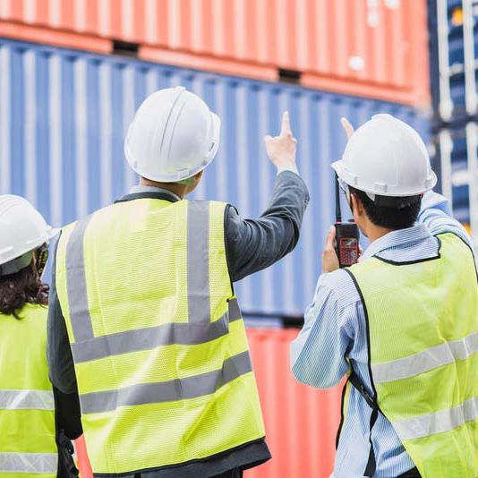 Back view of businessman with staff in logistic, export, import industry checking shipping cargo container freight.